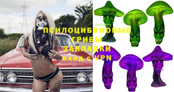 винт Надым