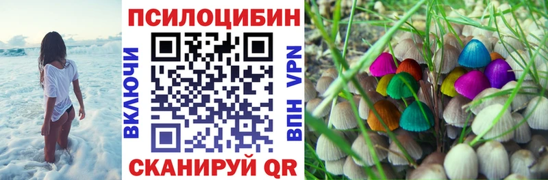 Купить  Ершов  Галлюциногенные грибы мицелий 